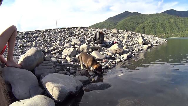 Рыбка ест с рук на Жинвальском водохранилище.