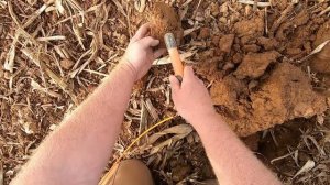 Nokta Legend Metal Detector Test at the Hunted Out GOLD Coin Field