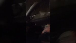 Забрали котика Дорожника из ветклиники