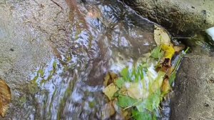 Каверзинские водопады 18.07.2024 Семейный поход.