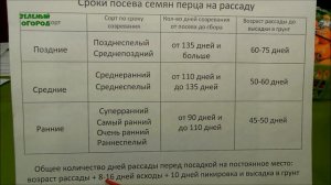 Сроки посева Перца. Советы от Зеленого Огорода.
