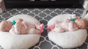 Funny Twins Baby Playing Together - Funniest  Baby Video