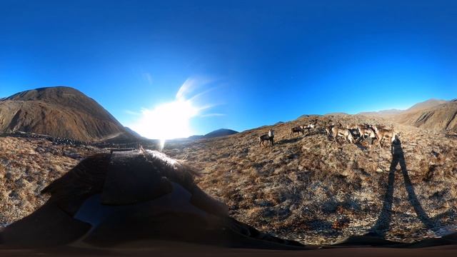 Съемка камерой Gopro Max. 360°. Сентябрь 2020г. В горах Себяна. смотреть онлайн