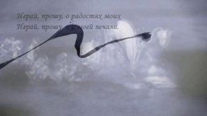 Я нарисую музыку тебе