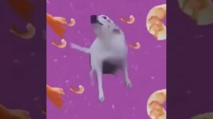 How many shrimps do you have to eat before make your skin turn pink?