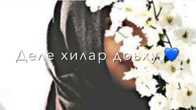 Дала декъала йойла хьо сан йиша смотреть онлайн