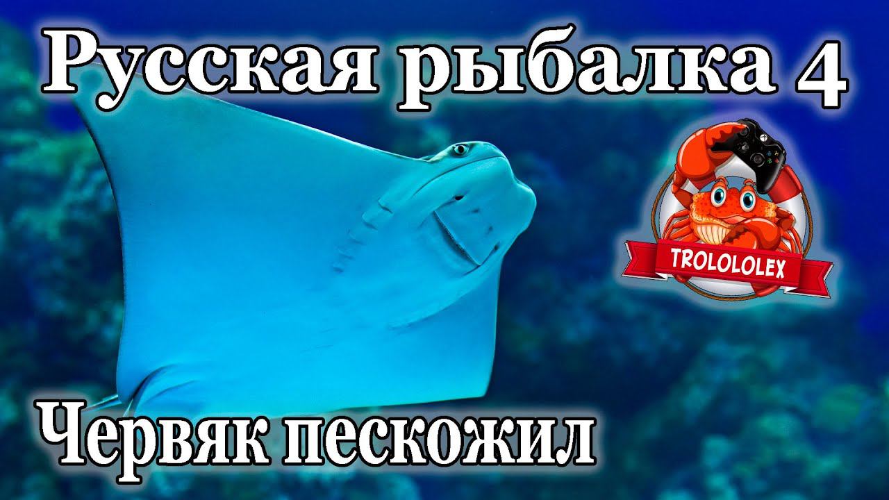 Русская рыбалка 4 Ловим на червяка пескожила Трофей глубин смотреть онлайн