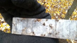 Лесной Коп С Металлоискателем Терминатор Трио Мелочь но хоть что-то №17