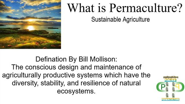 What is Permaculture? By Bill Mollison Demo Video #Permaculture #Sustainable #Life #AGRICULTURE