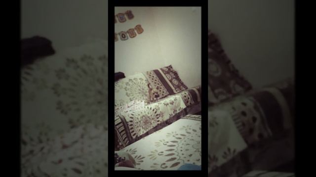 Собака засыпака #прикол#ржака#смотретьвсем#оченьсмешно#чихуахуа#животное#любимыйпёс#надонышке