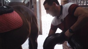 КТО ТАКОЙ ИППОЛОГ? КАК СТАТЬ ИППОЛОГОМ? | #ПроБыть ИППОЛОГОМ