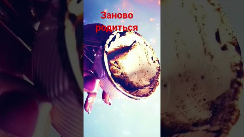 В БЛИЖАЙШЕМ БУДУЩЕМ ВЫ СЛОВНО ЗАНОВО РОЖДАЕТЕСЬ  #shorts #youtube #таро