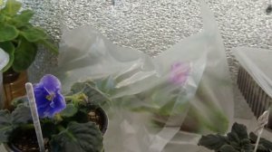 Угловой стеллаж