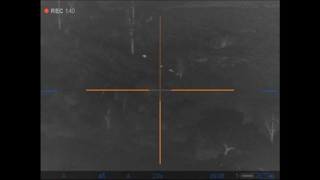 Pulsar Thermion XP50 part1 смотреть онлайн