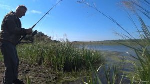 Бюджетный СПИННИНГ. КРОКОДИЛ 2.40 / 2.70 Донки на крупную рыбу. Тест на реке.