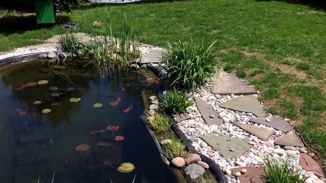 Домашний прудик весной смотреть онлайн