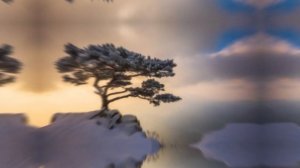 На севере диком стоит одиноко... М.Ю.Лермонтов