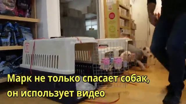 Герой Марк Чинг смотреть онлайн