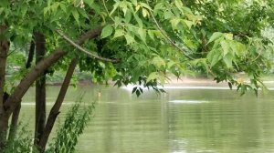 Катание на доске по воде