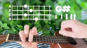 Pixies - Where Is My Mind // Ukulele Tutorial