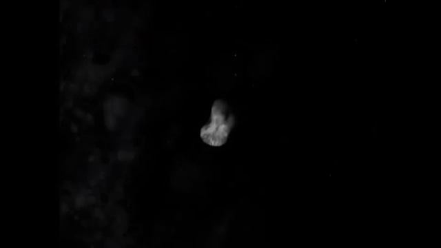 Blame - Planet Neptune смотреть онлайн