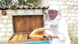 Расширение пчелосемьи в лежаке .Подкормка медовой сытой.Осмотр пчел один раз в неделю.