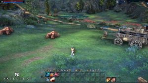 Гайд по классу Убийца. TERA Online 2018 часть 1