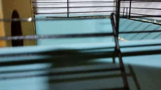 Завтрак у девочек! смотреть онлайн