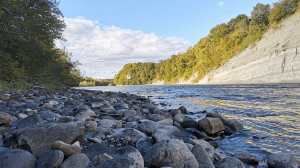 Долина аммонитов | Наедине с природой №2