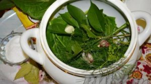 Малосольные огурцы в рассоле с чесноком и зеленью