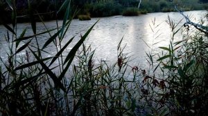 Сделал очень доброе и хорошее дело !