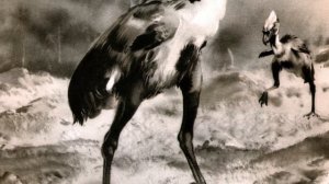 ФОРОРАКОСОВЫЕ - наследники хищных теропод?