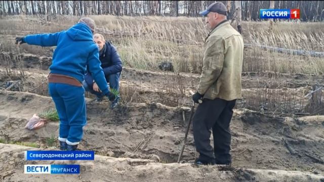 В Северодонецке появилось 5 тысяч новых деревьев