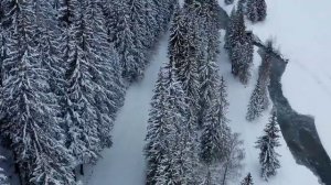 Юрий Кукин. Волшебник.