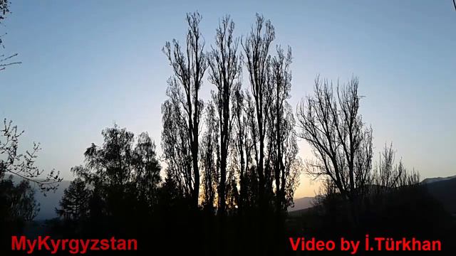 Wonderful relaxing natural sounds for stress  Таң эртенки укмуштуу эс алдыруучу музыка