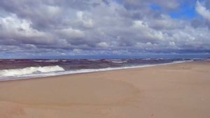 №18 п Рыбачий Куршская коса август 2016