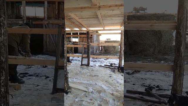 Строим свинарник. смотреть онлайн