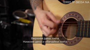 Обзор акустической гитары TERRIS TF-3805A NA