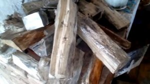 #жизньвдеревне Дрова из тополя дерево-вампир жуть и кошмар