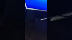 Что делать если геймпад не подключается к Play Station 4