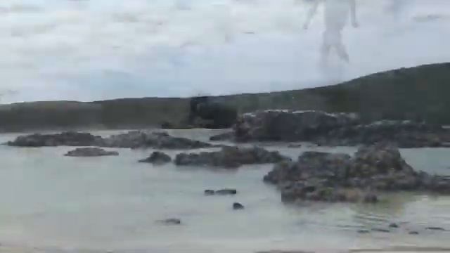 Bungee b Large смотреть онлайн