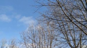 КАК ОСВЯТИТЬ СВОЙ ДОМ КРЕЩЕНСКОЙ ВОДОЙ . КРЕЩЕНИЕ ГОСПОДНЕ . народные приметы и традиции