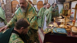 28 мая 2021 года. День памяти преподобного Илии Макеевского.