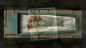 СУВ ПАРИЛАРИ (СУРАЛГАН МАВЗУ) 1-- КИСМ