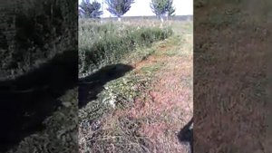 Косилка 2 часть