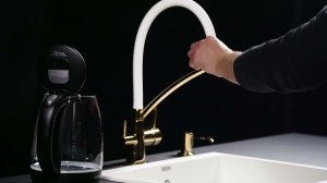 Смеситель Paulmark Siegen Si213111-Gw для кухонной мойки, золото