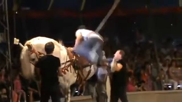 Подсадной в цирке смотреть онлайн