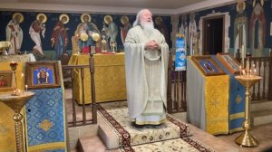 Без воли Божией и лист не упадёт с дерева на землю, и волос с головы человека.