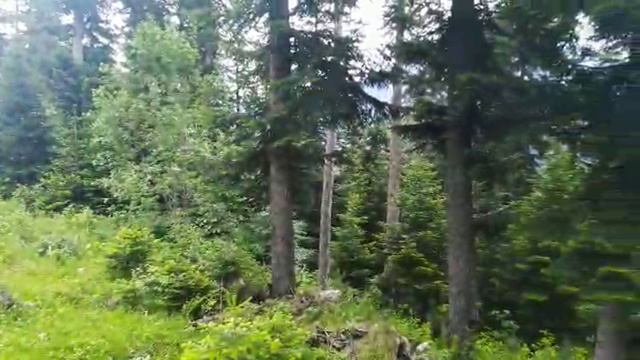 природа смотреть онлайн