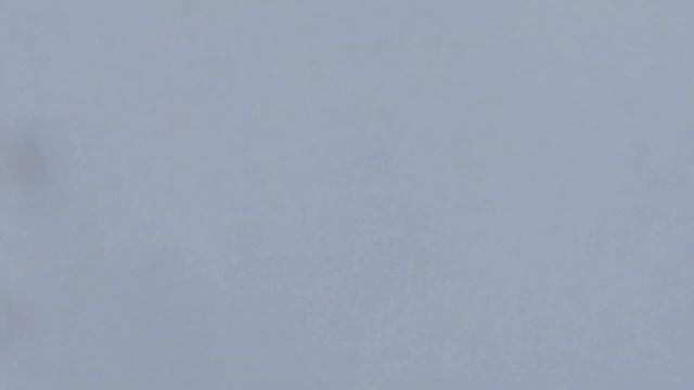 Охота на лося#добыл-волка #Отстрелялся по волку# Св. Трифон делает нам подарок 31.12.2020 смотреть онлайн